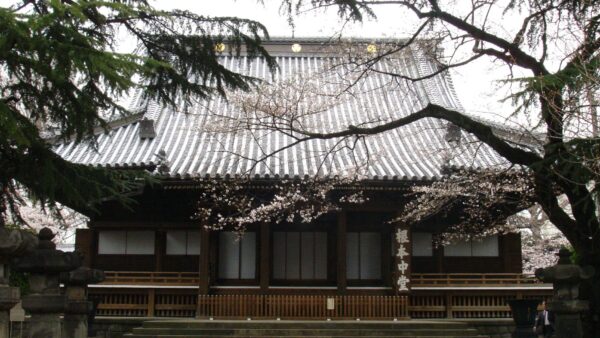 寛永寺 谷中霊園