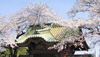 寛永寺　徳川浄苑